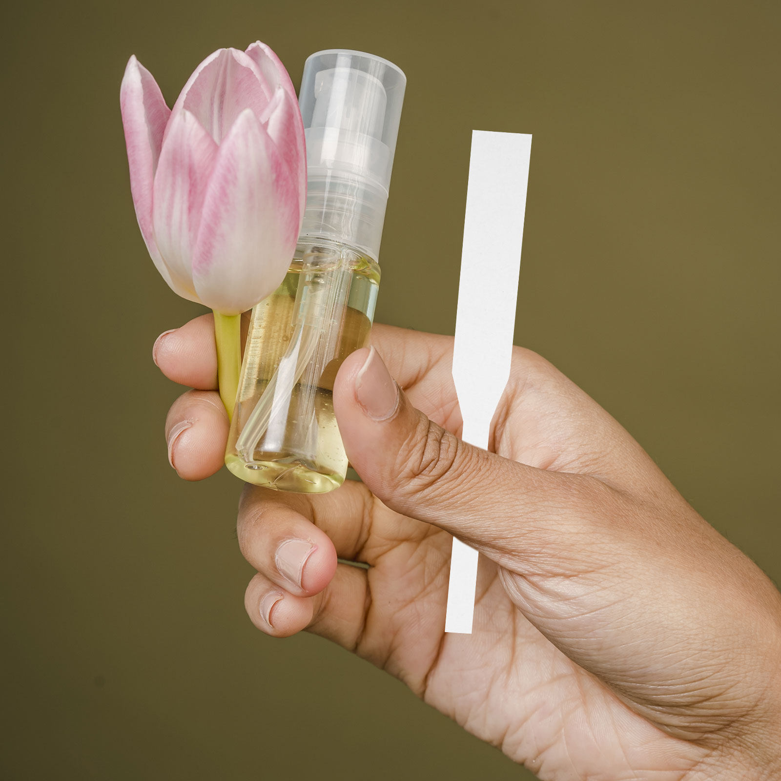 100 Stück Parfüm-Teststreifen  – Perfume In Fragrance Shop Bewertung und Preis
