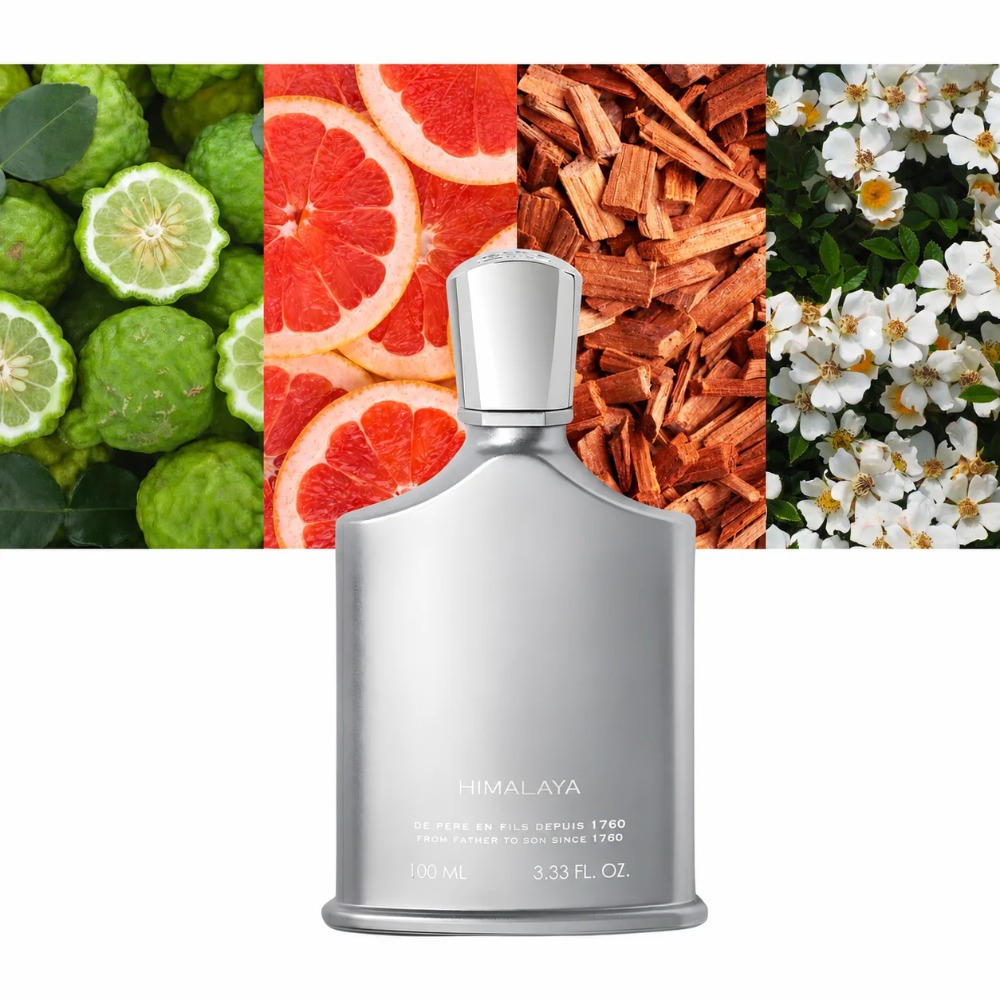 Aventus Duft für Männer 100ml  – Fragrance Perfume Spray Bewertung und Preis