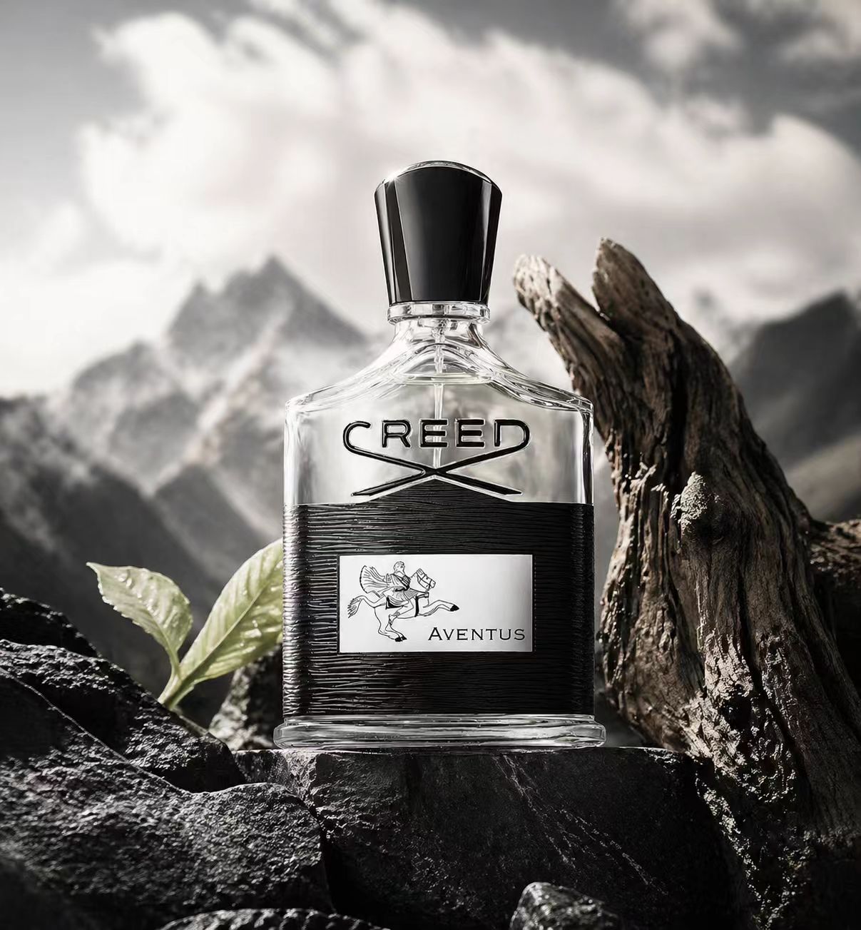 Creed Aventus: Kühnes & Zeitlo – Creed Aventus Dupe Bewertung und Preis