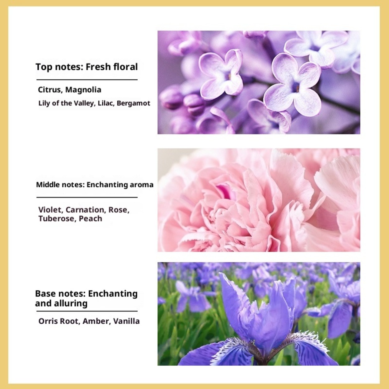 Nein. 5 Damen-Eau de Toilette: – Perfume Fragrance Brands Bewertung und Preis